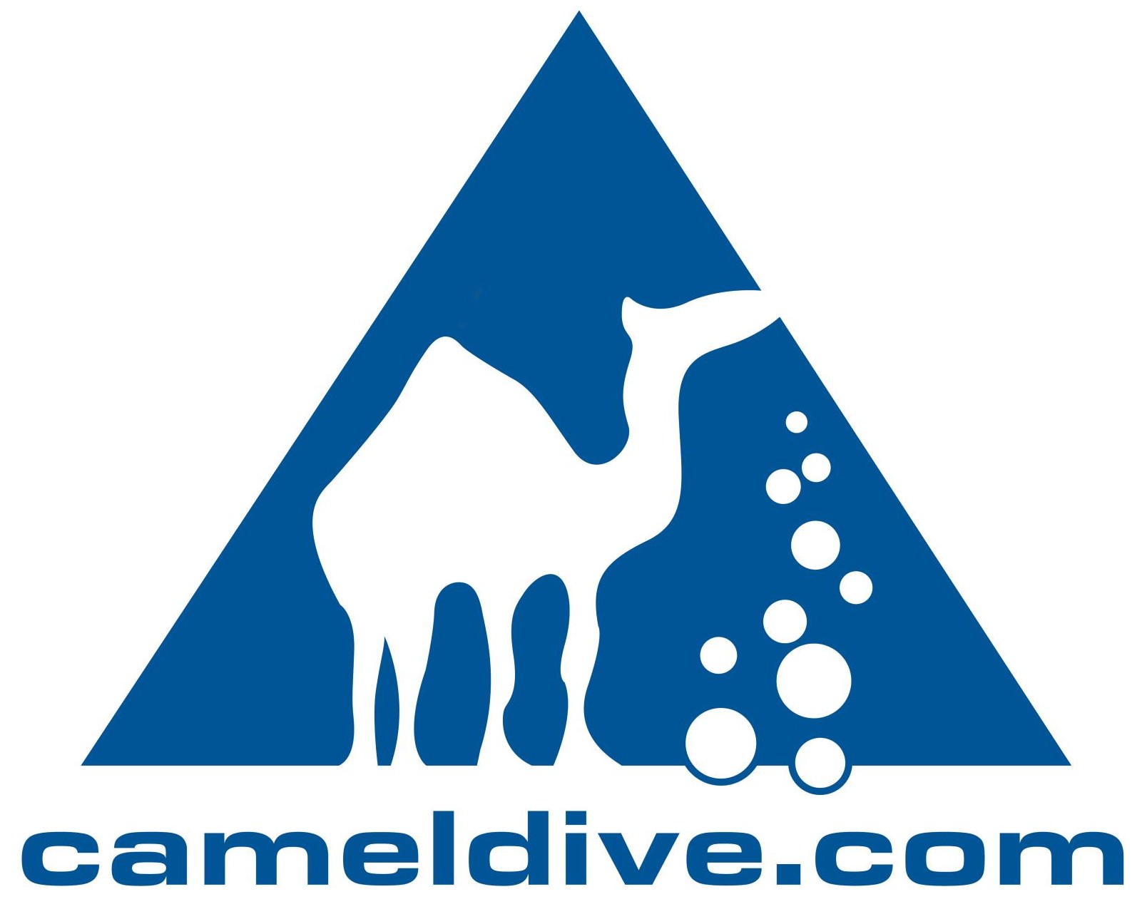 Camel Dive