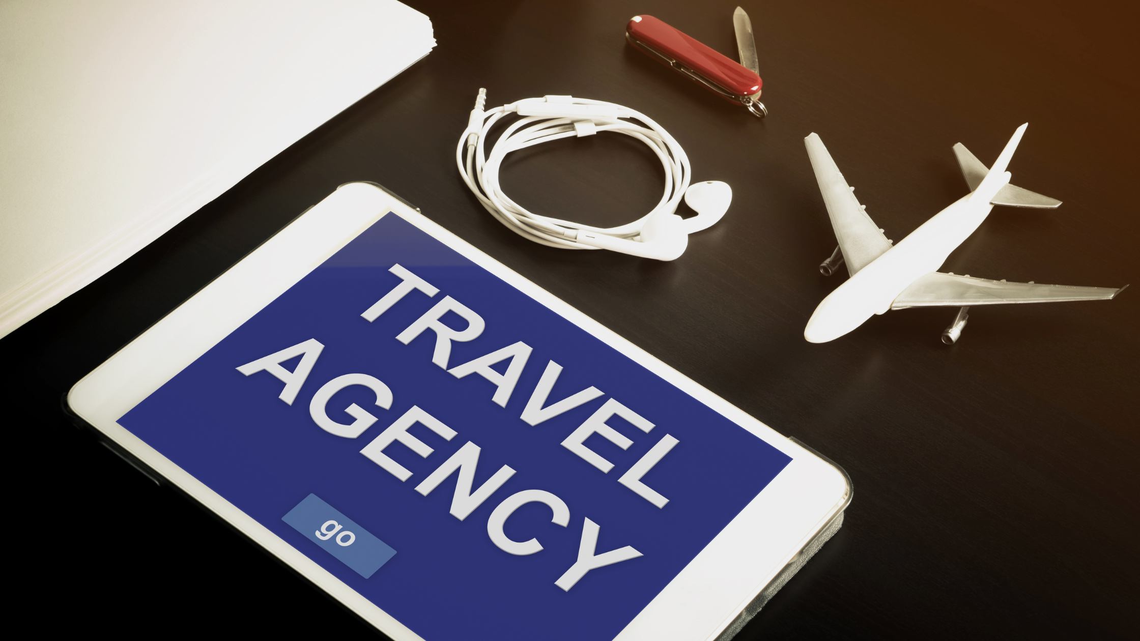 What is Travel Agency Management System